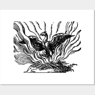 Medieval Mythical Phoenix Posters and Art